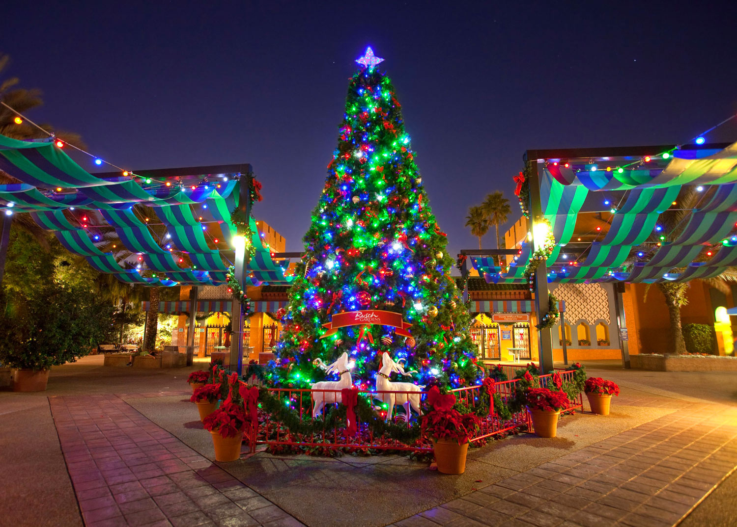 BG-Christmas_town_tree_entrance_1500px – Williamsburg Vacation Packages